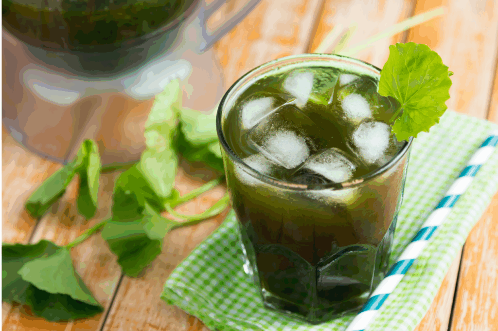 gotu kola tea